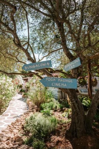 أشجار-وبيئة-ريفية